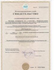 Регистрационный документ стоматологической клиники Премиум-Дент